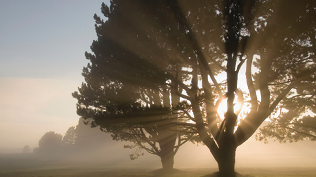 Lesson 4: Netzach Lesson 4: Netzach